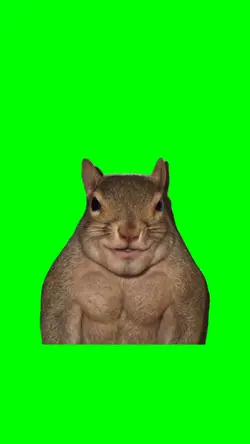 Squirrel mewing