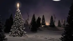 silent night