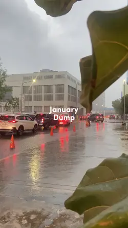 January Dump