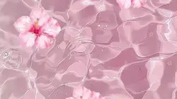 introduction music 