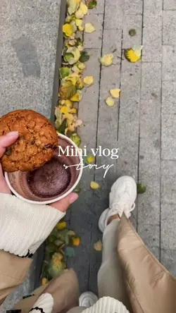 Mini vlog story