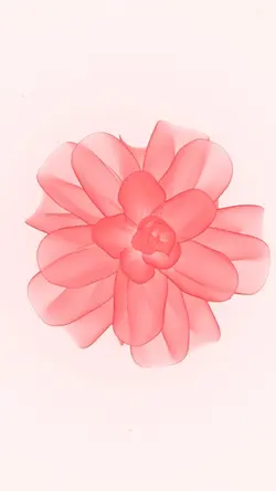 vertical peach