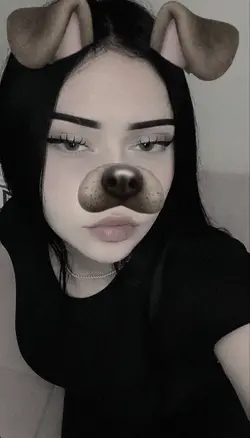 dog filter 