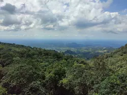 penyiar radio Vierra