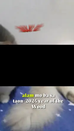 My Alaga Pusa