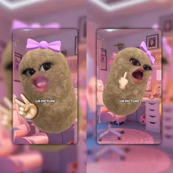 collab no mirror