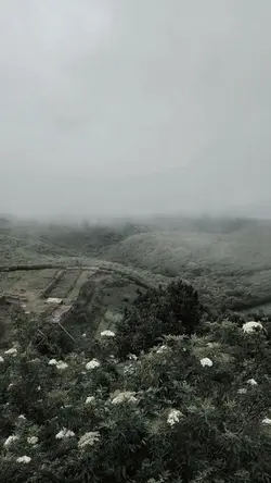 Kehilangan
