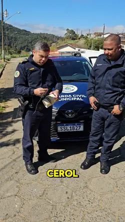 Cerol não 