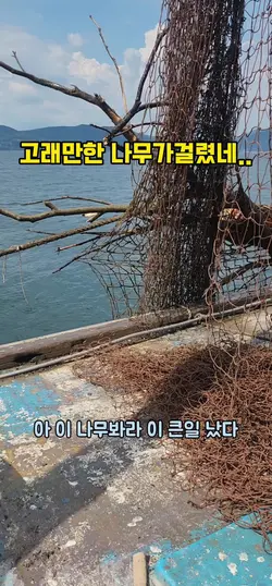 나무
