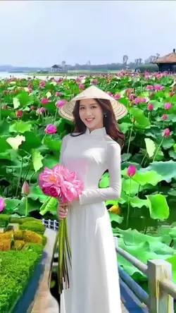 kebun lotus cantik 