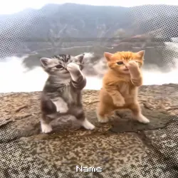 Free Cat Edit