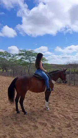 Adicione 1 clipe