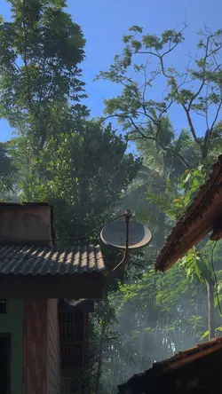 1VID JERNIH