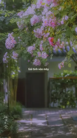 2 ảnh nhẹ nhàng