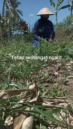 peternak muda