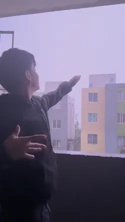 Mango mango