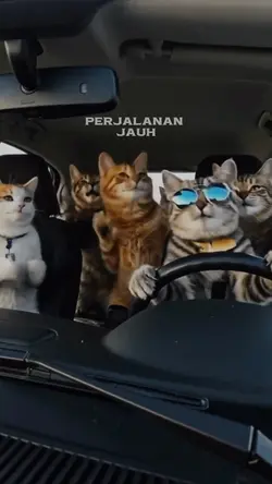balik kampung
