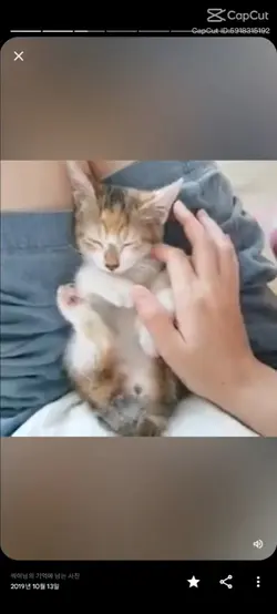 배경음악넣은편