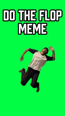DO THE FLOP MEME