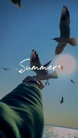 Summer vacation