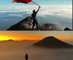 tata letak 2