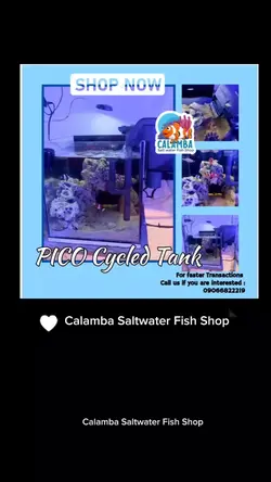 Calamba Saltwater