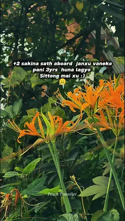 nepali quotes