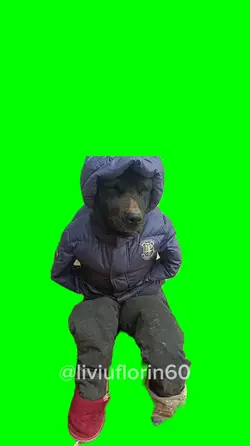 Dog win