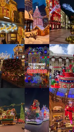 Christmas Snaps