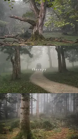 therapy 
