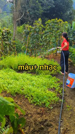 bình yên nhất là nhà