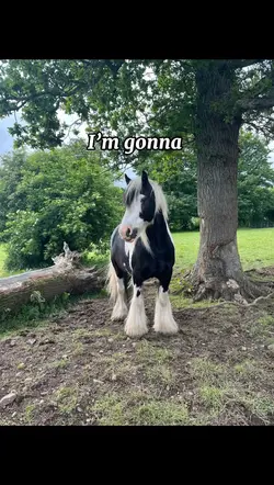 Old town road