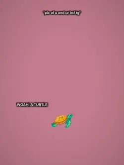 Woah a turtle