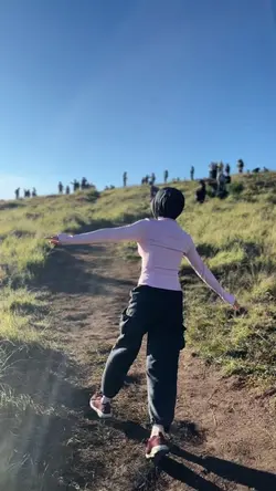 Wahai punjangga cint