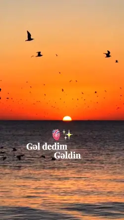 Gel dedim geldin 