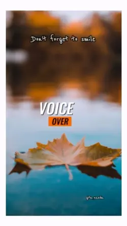 VOICE OVER