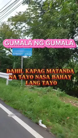 GALA NG GALA