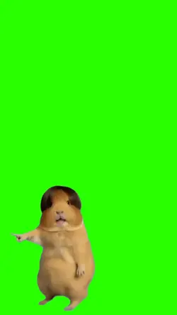 Capibara 