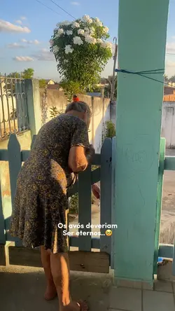 Trend( avó