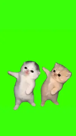 Shake It Kittens Mem