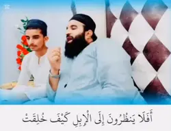 ماشاءاللہ تلاوت قرآن
