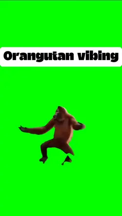 Orangutan vibing