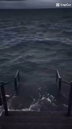 Ocean meme template