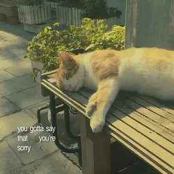 aesthetic