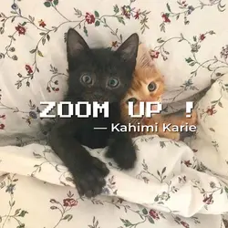 Zoom Up! 