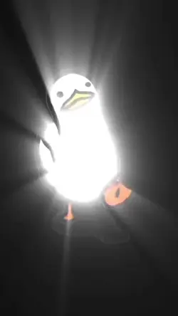 Duck edit