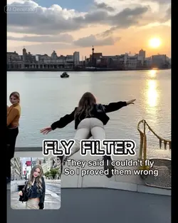 Fly Filter