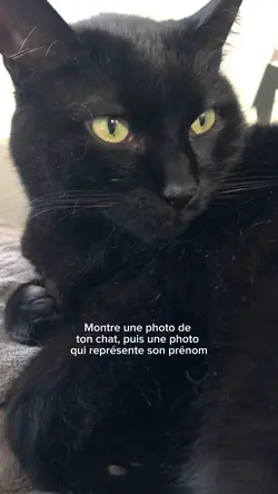 Mon chat s’appelle..