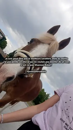 n'est-ce pas??