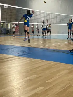 volleyball